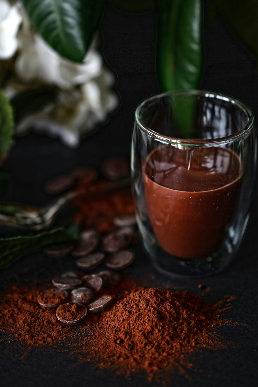 10 Best Cacao Smoothie Brands in 2026 (Compared)