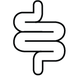 Gut health 59a08bea cb6d 481b 85ec 1385acdca5d0