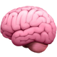 Brain 1f9e0