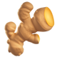 Ginger 1fada 1