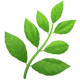 Herb 1f33f